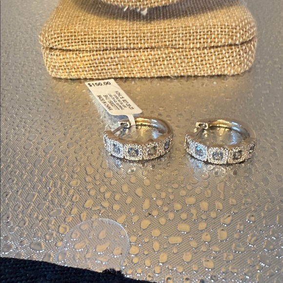 Elegant Sterling Silver Hoop Earrings - Picture 1 of 5